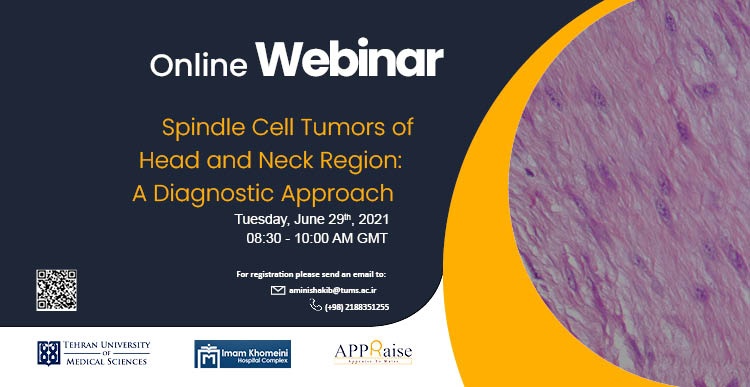 Spindle Cell Tumors of Head and Neck Region: A Diagnostic Approach