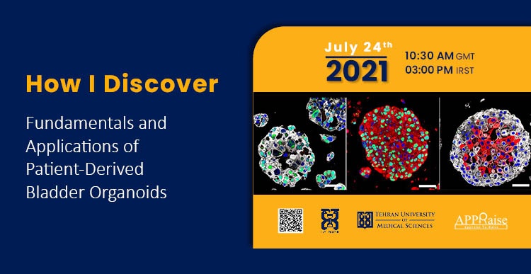 Fundamentals and Applications of Patient-Derived Bladder Organoids