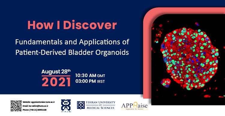 Fundamentals and Applications of Patient-Derived Bladder Organoids