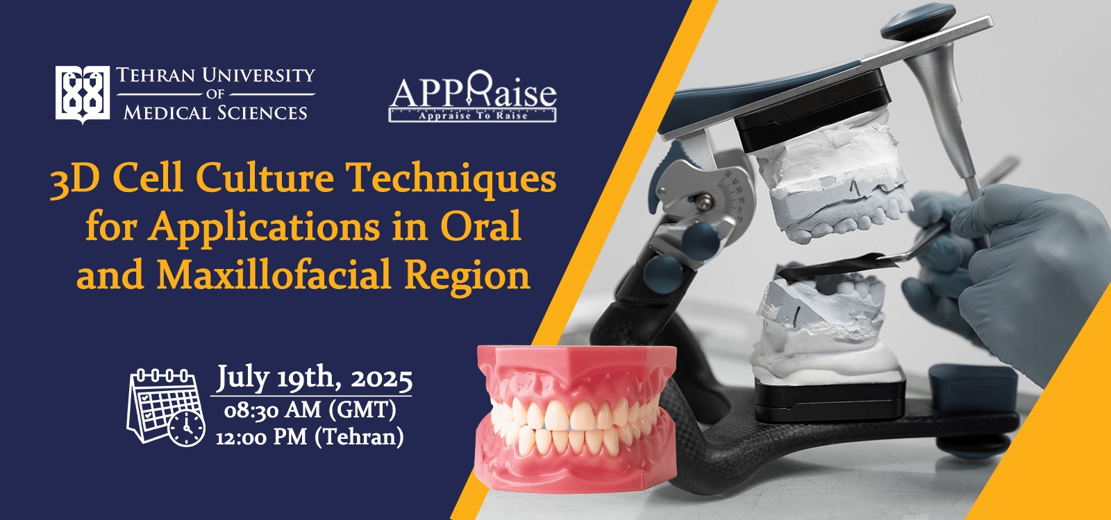 3D Cell Culture Techniques for Applications in Oral and Maxillofacial Region