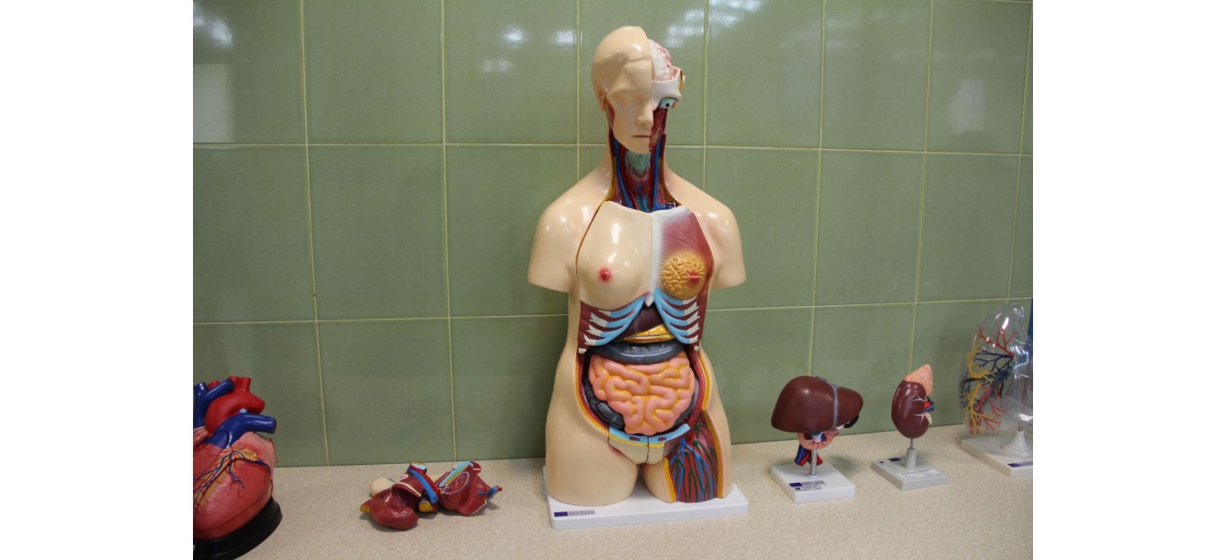 MediTec