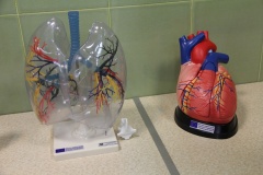 MediTec