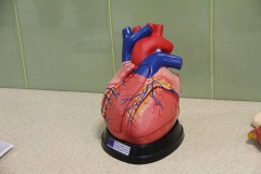 MediTec