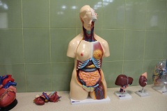 MediTec