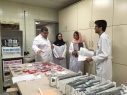 Tehran University of Medical Sciences (TUMS) Was Host to High Profile International Professors in the Field of Dentistry