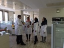 Tehran University of Medical Sciences (TUMS) Was Host to High Profile International Professors in the Field of Dentistry