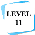 level 11