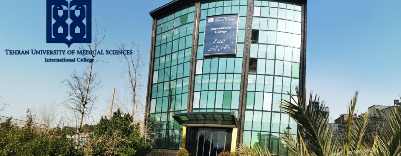 International College