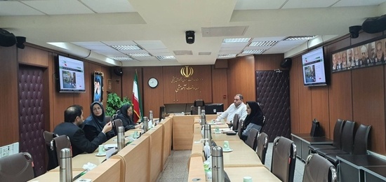 Brainstorming Session Held for Development of EducationIRAN Software System