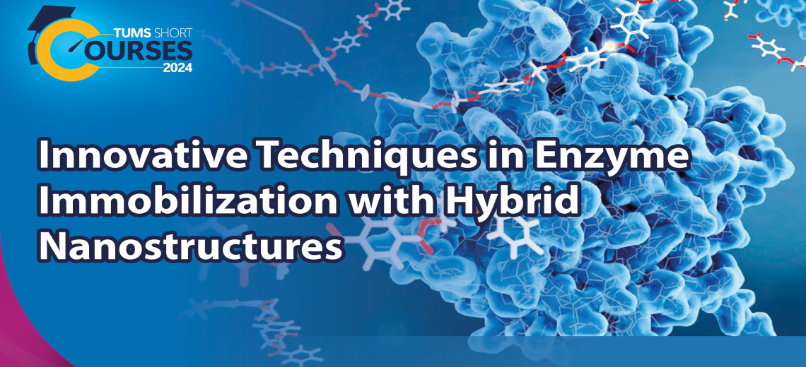 Innovative Techniques in Enzyme Immobilization with Hybrid Nanostructures