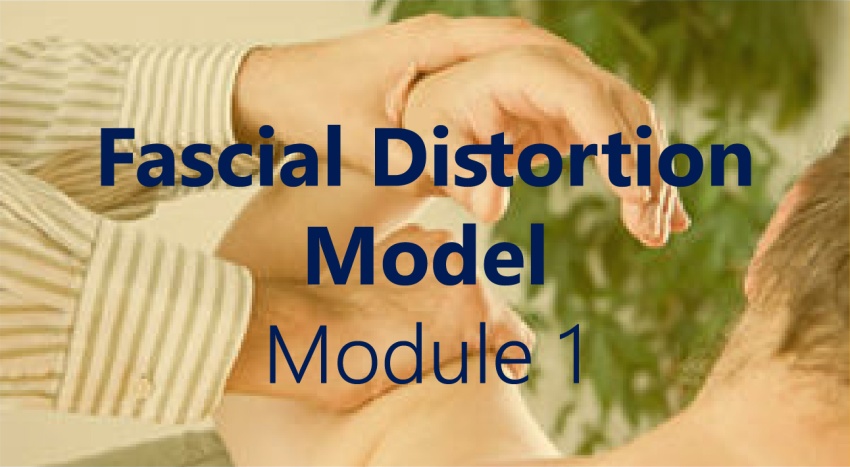 Workshop on Fascial Distortion Model: Module 1