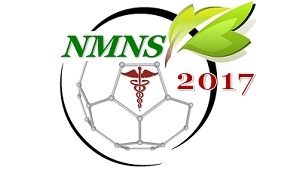 Second Nanomedicine and Nanosafety Conference (NMNS 2017)