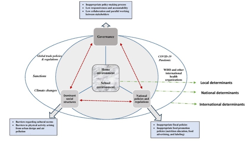 Uncovering the Root Causes of Childhood Obesity in Iran: A Comprehensive Study Reveals Key Determinants
