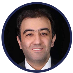 Seyed Amir H. Javadi