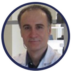 Seyed Reza Mohebbi