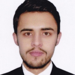 Ahmad Mujtaba Barekzai