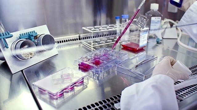 TUMS Research Centers