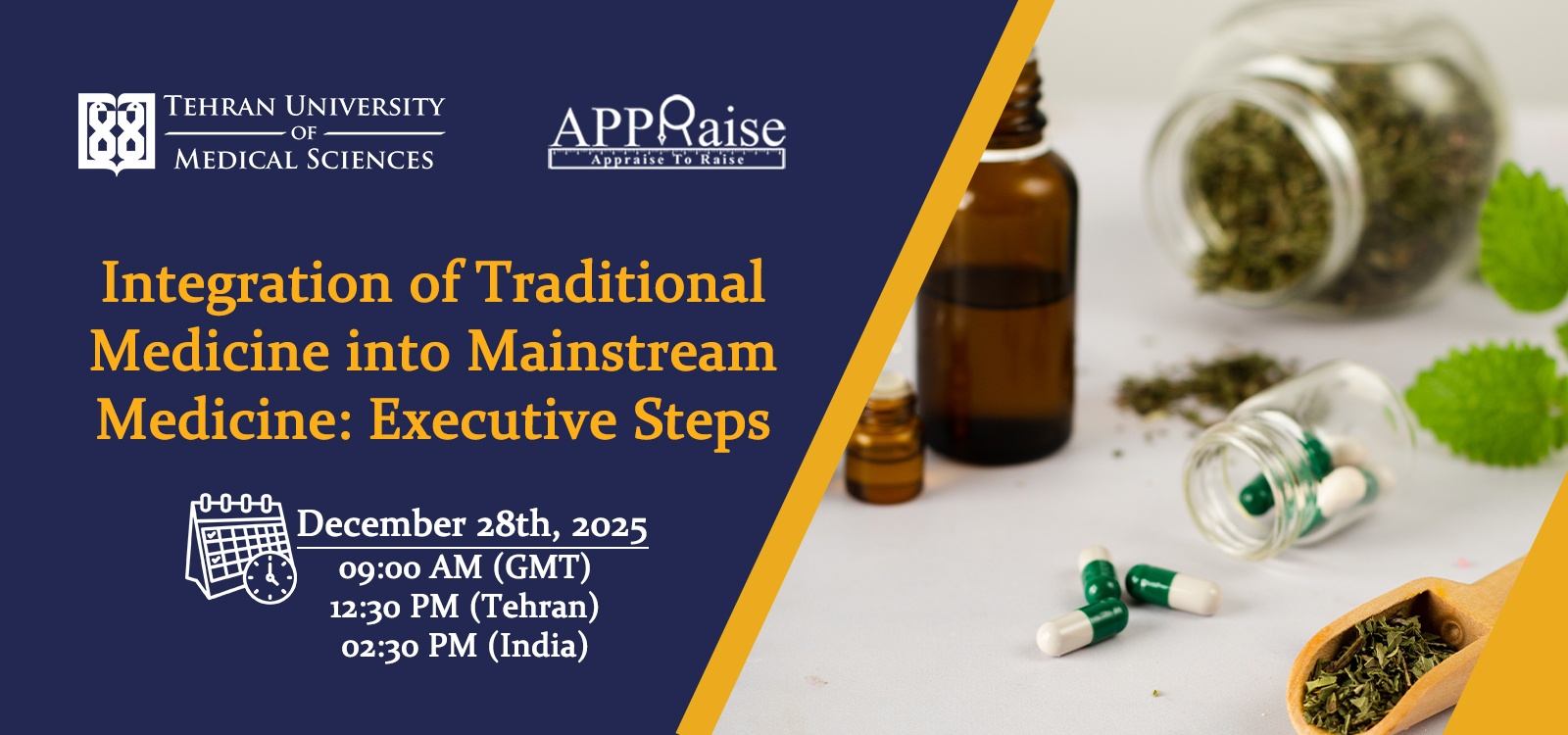 Integration of Traditional Medicine into Mainstream Medicine: Executive Steps