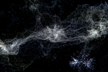 Clarivate Reveals World’s Influential Researchers in Highly Cited Researchers 2023 List